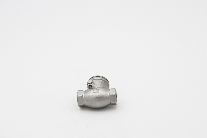 Horizontal check valve